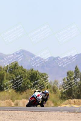 media/May-12-2024-SoCal Trackdays (Sun) [[ad755dc1f9]]/12-Turn 7 (1150am)/